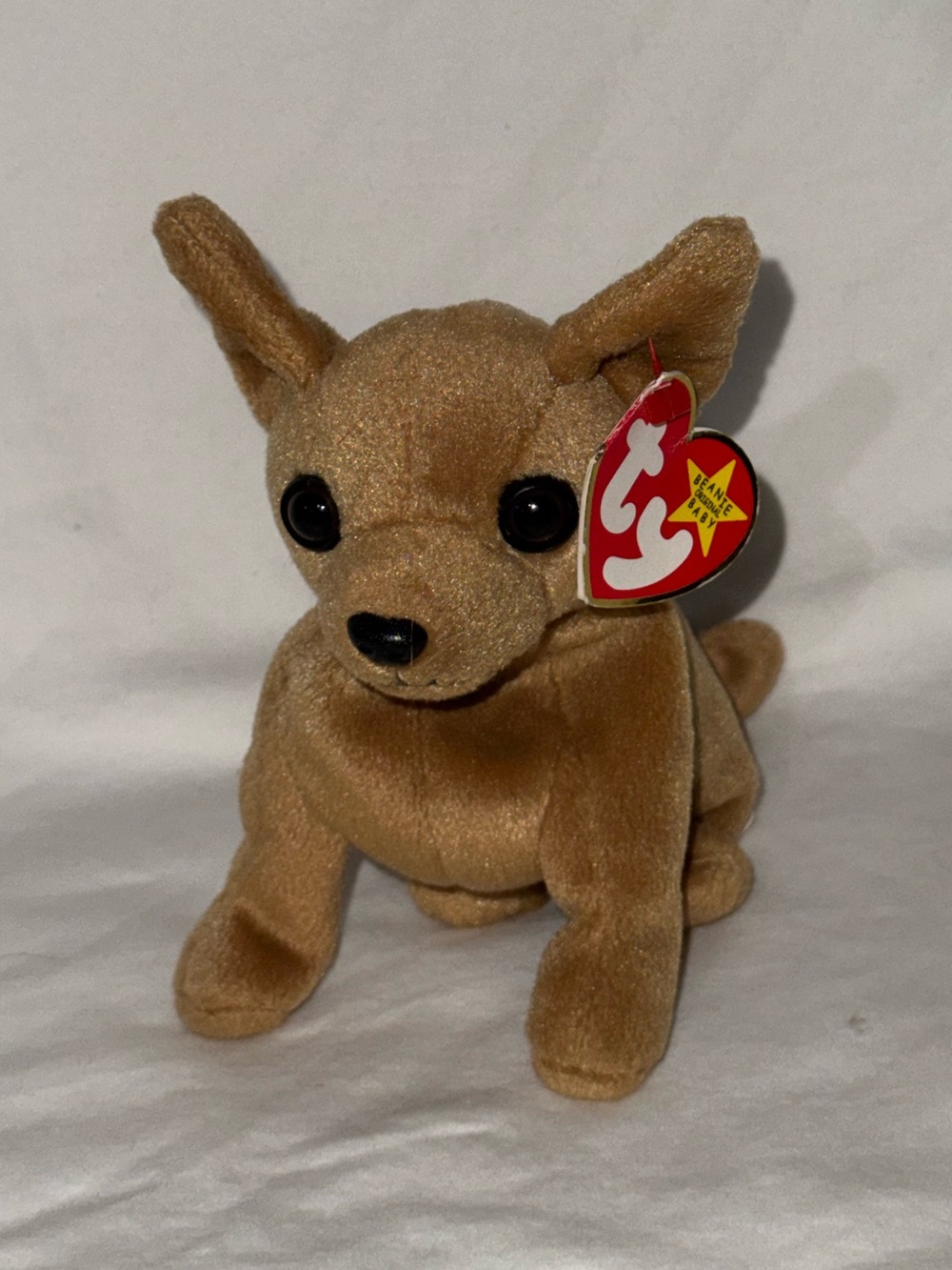 Ty Brown Chihuahua Plush - Tiny
